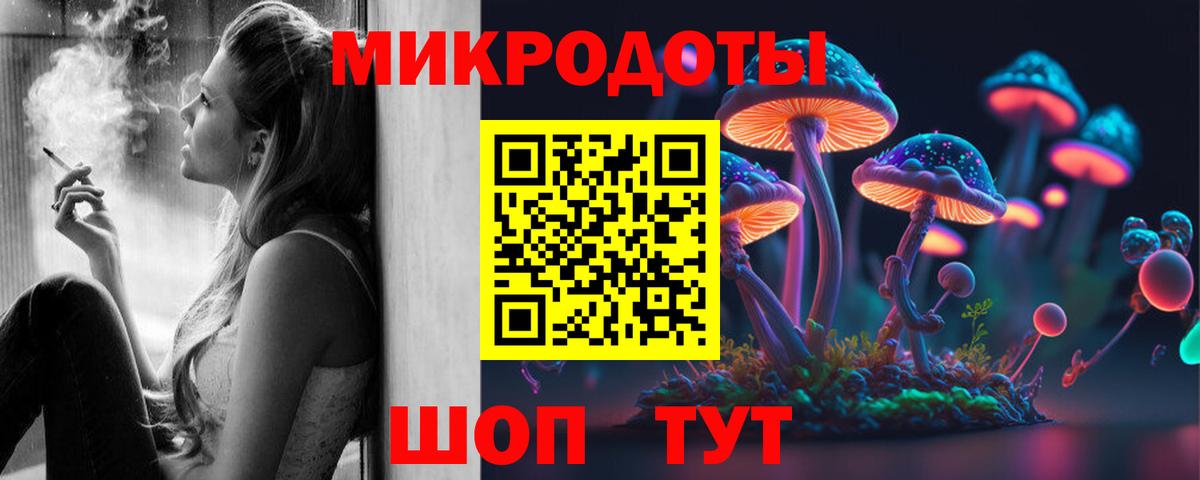 Псилоцибиновые грибы мицелий Гай