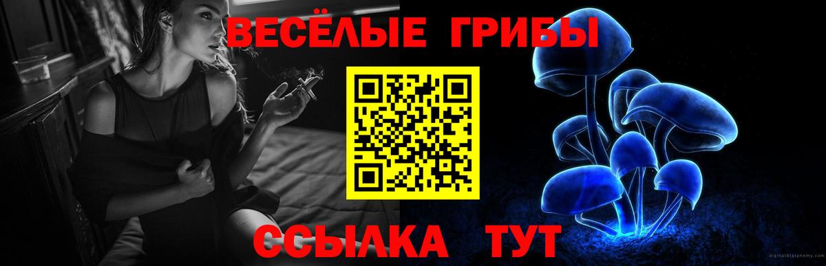 Галлюциногенные грибы Magic Shrooms  Вход с VPN  Псилоцибиновые грибы GOLDEN TEACHER  Гай 