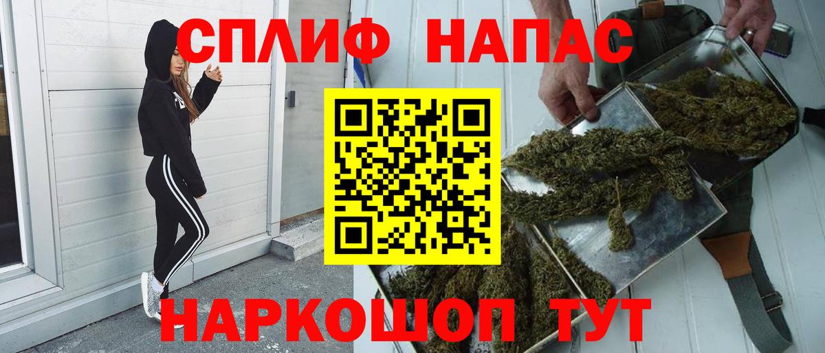 Бошки Шишки гибрид Гай